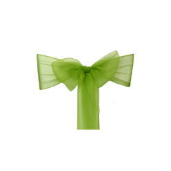 Organza Schleifenband lindgrün zum Mieten