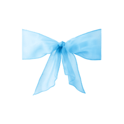 Organza Schleifenband hellblau zum Mieten