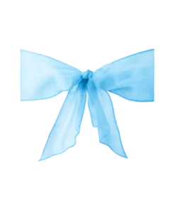 Organza Schleifenband hellblau zum Mieten