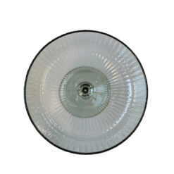 Champagnerschale Stripe Grün - Gläser zum Mieten (Bild 1)